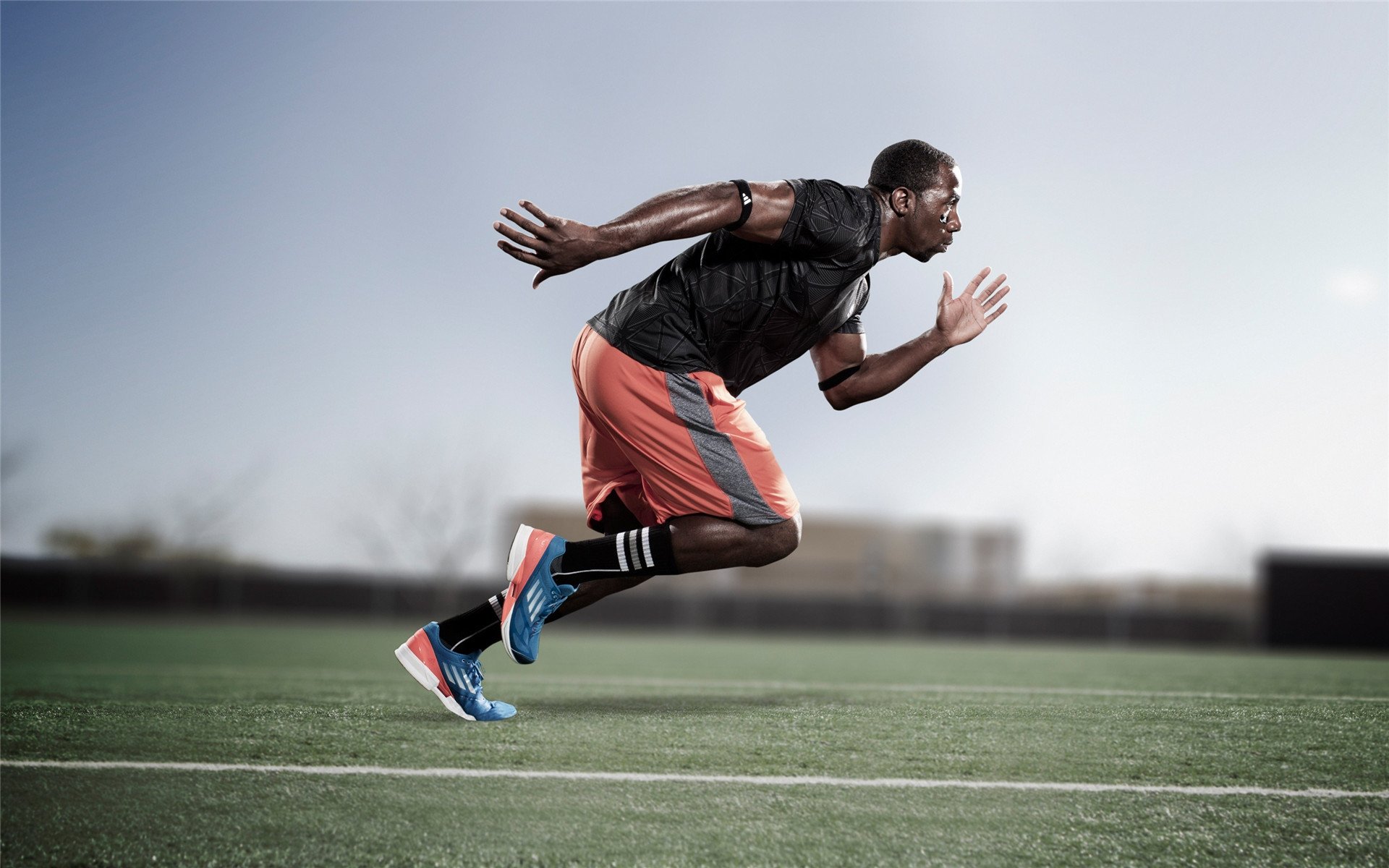 自由泳预赛突尼斯多人晋级，自由泳2021